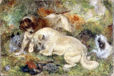Terriers e Coelhos numa Madeira de George Armfield