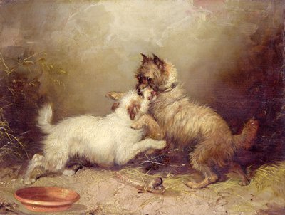 O osso da contenda de George Armfield