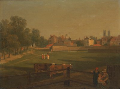 Uma vista ocidental de parte da Westminster e da Bird Cage Walk tirada da Mill House de George Arnald