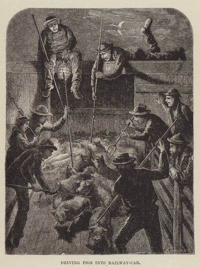Condução de suínos em Railway-Car de George Augustus Sala