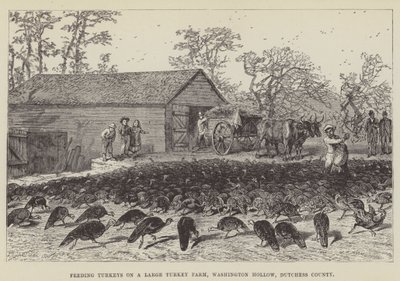 Perus de alimentação em uma grande fazenda de peru, Washington Hollow, Dutchess County de George Augustus Sala