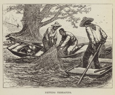 Rede de Terrapins de George Augustus Sala
