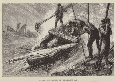 Ajuntando Ostras na Baía de Chesapeake de George Augustus Sala