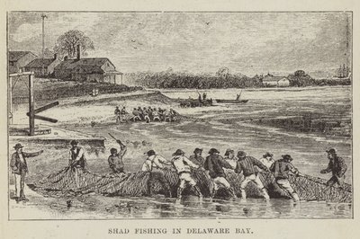 Sável Pesca na Baía de Delaware de George Augustus Sala