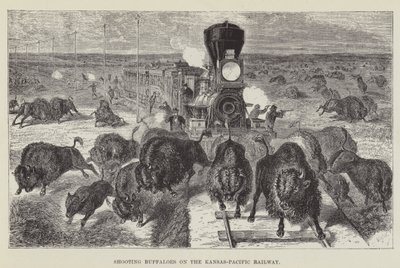 Búfalos de tiro na estrada de ferro Kansas-Pacífico de George Augustus Sala