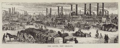 The Levee, Nova Orleans de George Augustus Sala