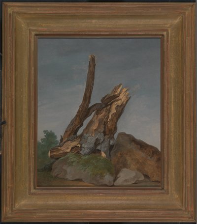 Estudo das rochas e dos ramos de George Augustus Wallis