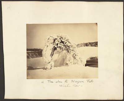 Uma árvore acima das Cataratas do Niágara de George Barker