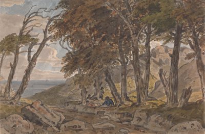 Números na margem de uma faixa arborizada, com o mar à esquerda de George Barret Jr.