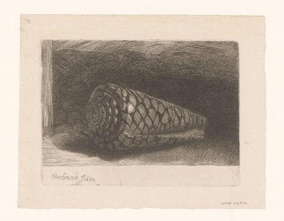 A concha de George Bickham (II)