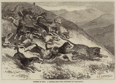 Caça na Índia, uma caçada de leopardo com Foxhounds em Ootacamund de George Bouverie Goddard