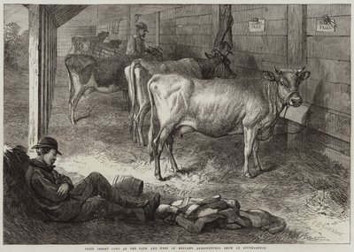 Prêmio Jersey Vacas na Feira Agrícola Bath and West of England em Southampton de George Bouverie Goddard