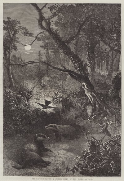 O assombrador do texugo, uma noite de verão na mata de George Bouverie Goddard
