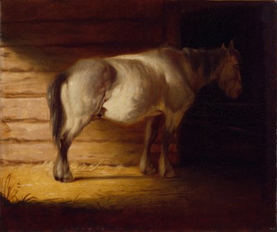 Cavalo velho do campo, de 1856 (óleo sobre tela) de George Caleb Bingham