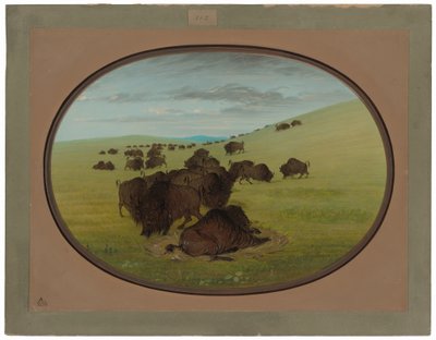 Um muro de búfalo de George Catlin