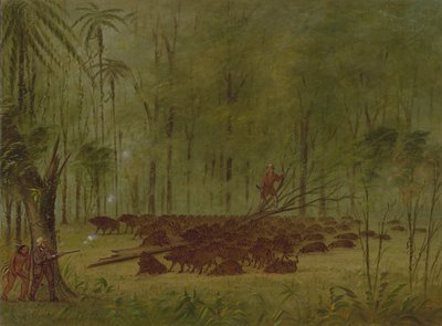Uma luta com queixadas - Caribe, 18541869. de George Catlin
