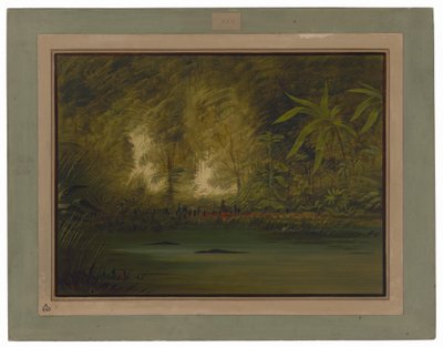 Uma lagoa do Alto Amazonas de George Catlin