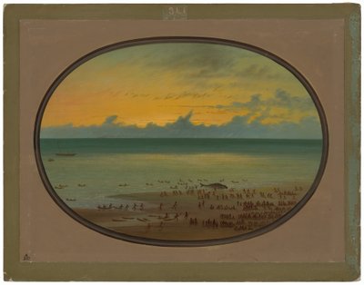 Uma baleia em terra - Klahoquat de George Catlin