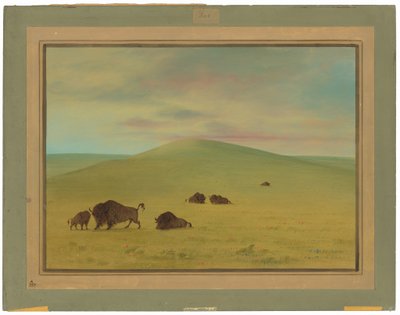 Pastagens Americanas - Pradarias do Platte de George Catlin