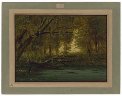 Um ninho de crocodilos de George Catlin