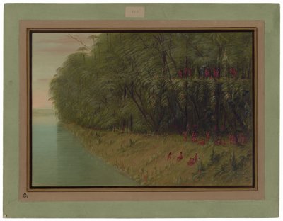 Uma floresta amazônica - olhando em terra de George Catlin
