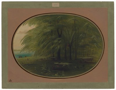 Uma Aldeia Indígena - Costa do Amazonas de George Catlin
