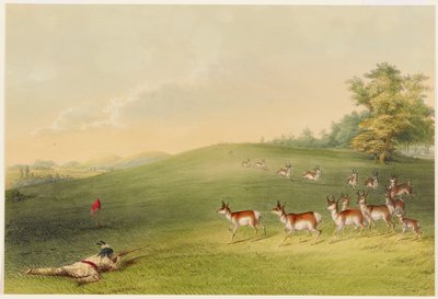Caça à antílope de George Catlin