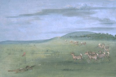 Tiro ao antílope, engodo de George Catlin
