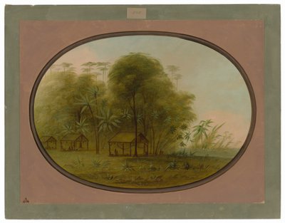 Aldeia Arowak de George Catlin