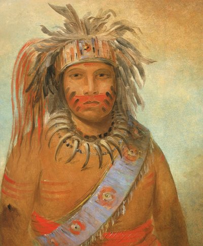 Au-nim-muck-kwa-um, Tempest Bird, 1845. de George Catlin