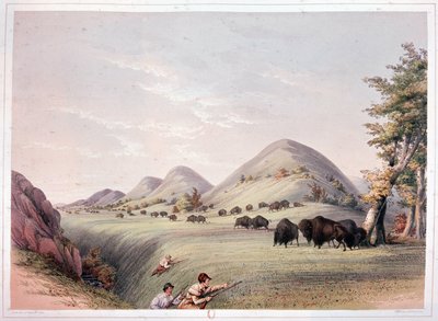 Caça ao bisonte de George Catlin