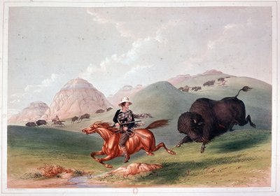 Bison Hunt na América do Norte - litografia de Georges Catlin de George Catlin