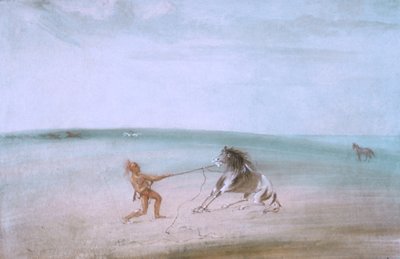 Desmantelar o cavalo selvagem de George Catlin