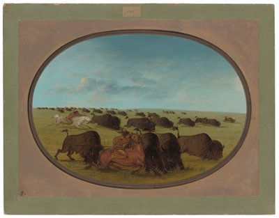 Buffalo Chase, com acidentes de George Catlin