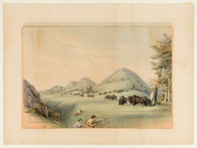 Caça ao búfalo; Aproximação numa ravina - n.º 11 de George Catlin