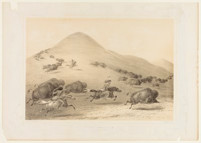 Caça ao Búfalo, Chase--no. 6 de George Catlin