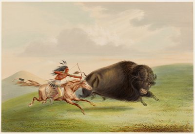 Caça ao bisonte, perseguição de George Catlin