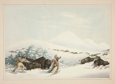 Buffalo Hunt, On Snow Shoes, pl. 15 do North American Indian Portfolio de George Catlin