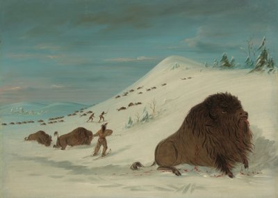Buffalo Lancing in the Snow Drifts - Sioux, 18611869. de George Catlin