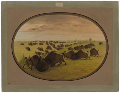 Luta de touros de George Catlin