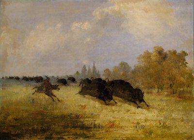 Índios Caddo perseguem o búfalo, Cross Timbers, Texas de George Catlin