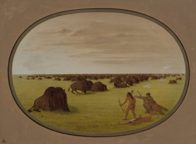 Catlin e búfalo de ataque indiano, 18611869. de George Catlin