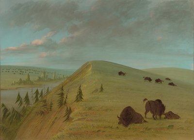 Cedar Bluffs, 18611869. de George Catlin