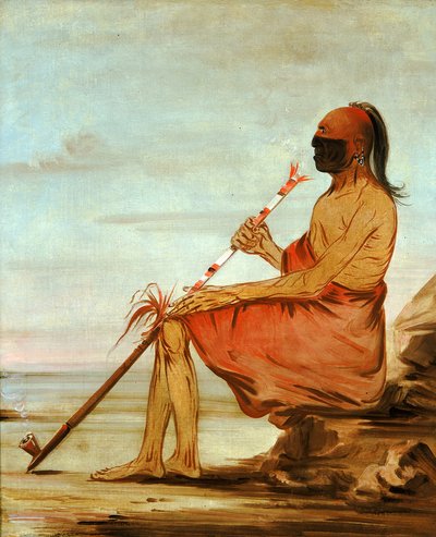 Floresta. de George Catlin