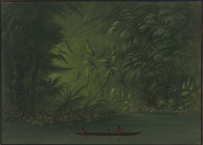 Entrada de uma Lagoa, Margem do Amazonas, 18541869. de George Catlin
