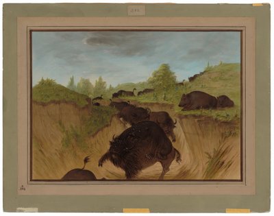 Ursos pardos atacando búfalo de George Catlin
