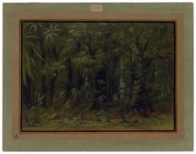 Interior de uma floresta amazónica - Zurumati de George Catlin
