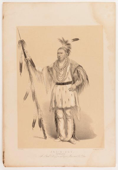 Joc-o-sot, o Urso Andante de George Catlin