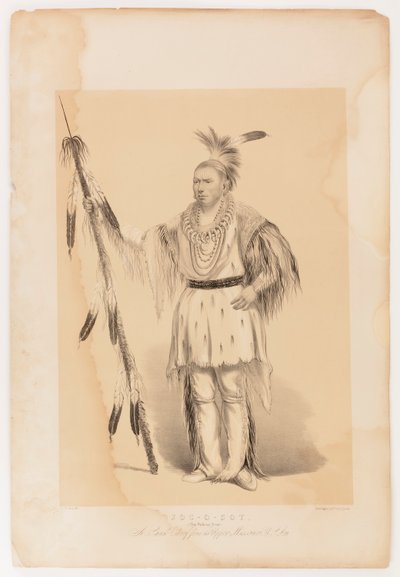 Joc-o-sot, o Urso Andante de George Catlin