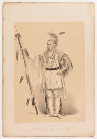 Joc-o-sot, o Urso Andante de George Catlin